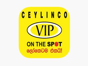 Mohan Trader Insurance Partner